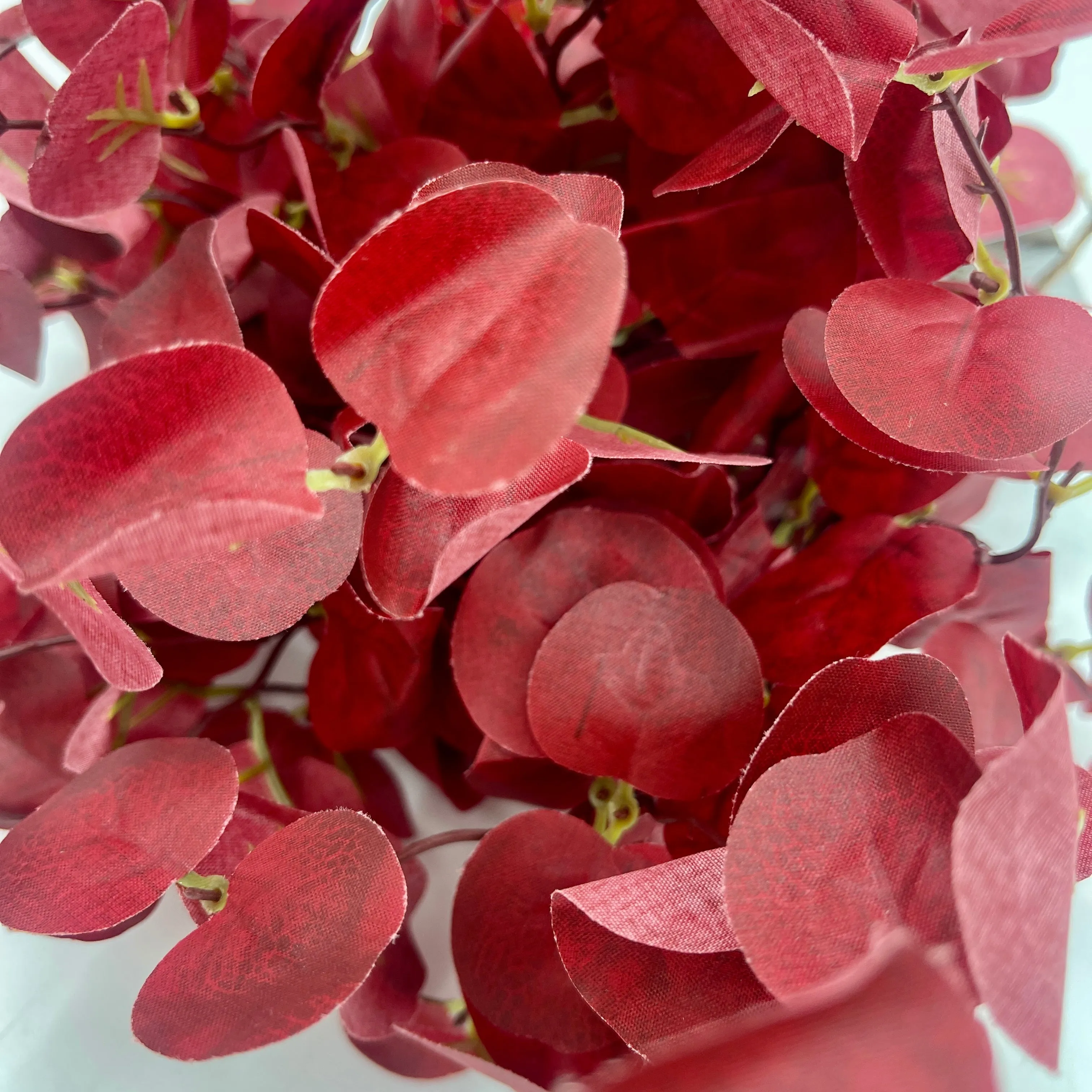 16.5" Red Eucalyptus Bundle