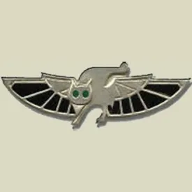 669 - Search and Rescue Insignia