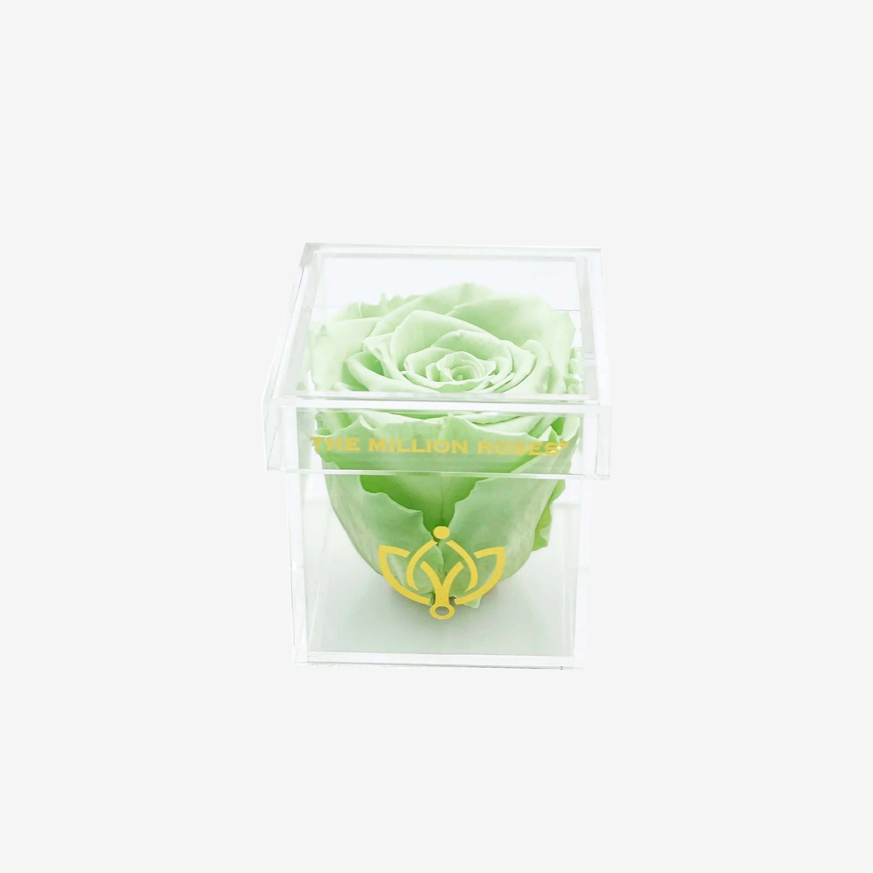 Acrylic Single Box | Mint Green Rose