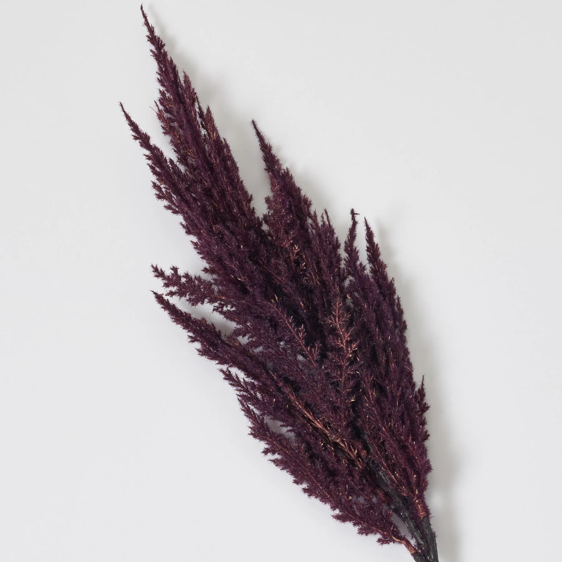 Dark Plum Purple Large Pampas Grass Plume Faux Single Wired Stem Spray - 33"