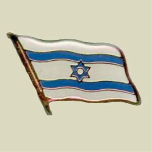 Israel Flag Insignia