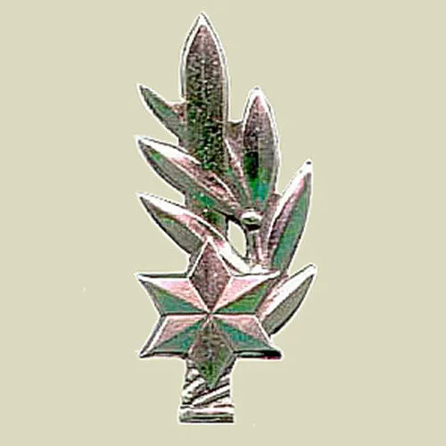 KATZIN - IDF Combat Officer Insignia