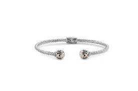 Leandra Bangle- Silver And Gold