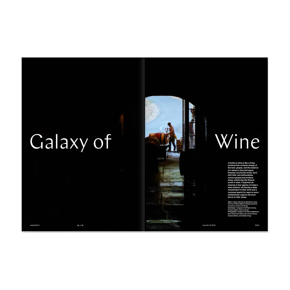 Magazine F Issue #29  : Wine