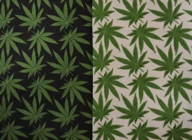 Marijuana Cannabis Leaf Cotton Fabric | 100% Cotton Print | 60" Wide | Ganja Flower Cotton Print | Hemp Leaf Cotton Print | Face Mask, Shirts, Herb Fabric |