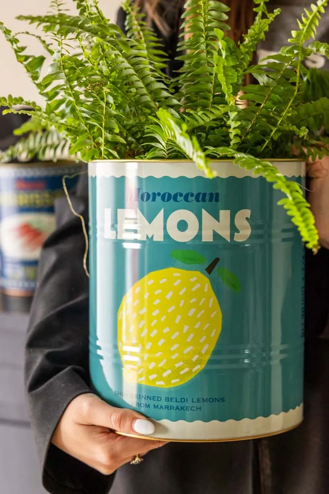 Set Of 2 Lemon & Harissa Storage Tins - Large & Medium