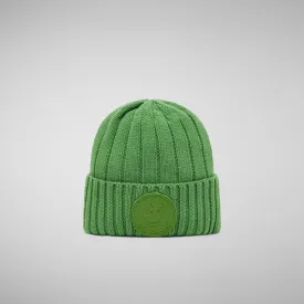 Unisex ribbed beanie jo in grass green